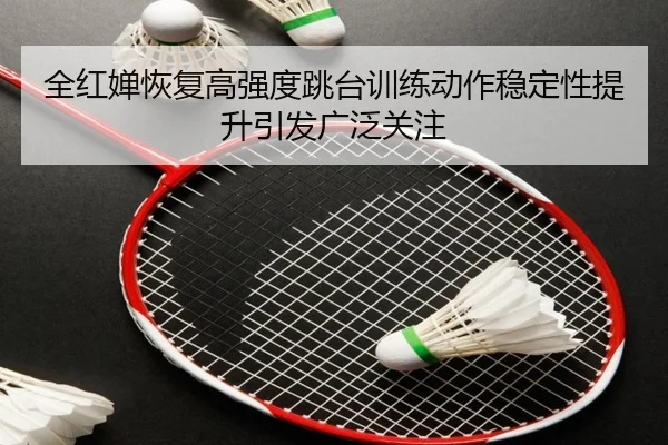 全红婵恢复高强度跳台训练动作稳定性提升引发广泛关注